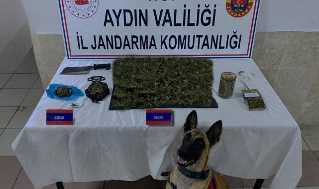 Jandarmadan uyuşturucu operasyonu!