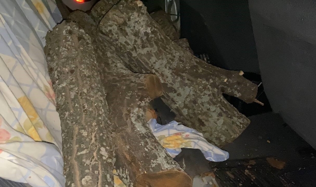 Odun hırsızı suçüstü yakalandı