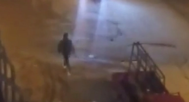 Sokak köpekleri korku dolu anlar yaşattı!