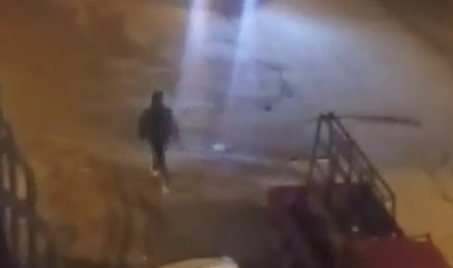 Sokak köpekleri korku dolu anlar yaşattı!
