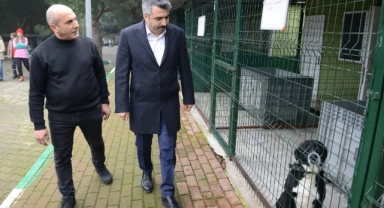Yıldırım'da binlerce can dostu yuvaya kavuştu