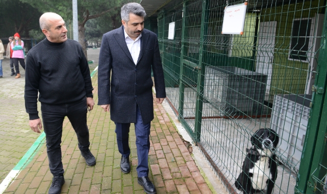 Yıldırım'da binlerce can dostu yuvaya kavuştu