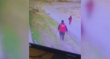 Yine bir sokak köpeği dehşeti yaşattı!
