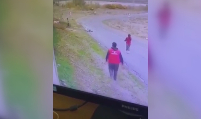Yine bir sokak köpeği dehşeti yaşattı!
