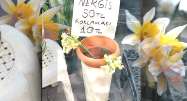 Bursa'da 10 liraya koklatılan nergis çiçeği günün konusu haline geldi