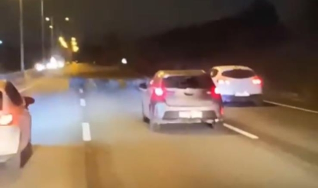 Bursa’da domuz sürüsü ana yola atladı