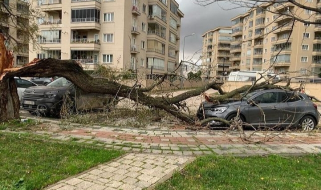 Bursa'da Şiddetli Lodos Hayatı Felç Etti