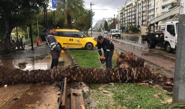 Büyükşehir fırtına için seferber oldu