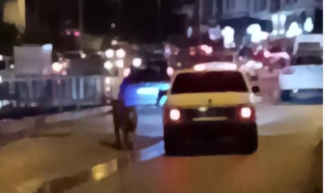 Köpeği arabanın peşinden koşturdu