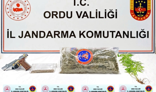 Ordu’da uyuşturucu operasyonu: 1 gözaltı