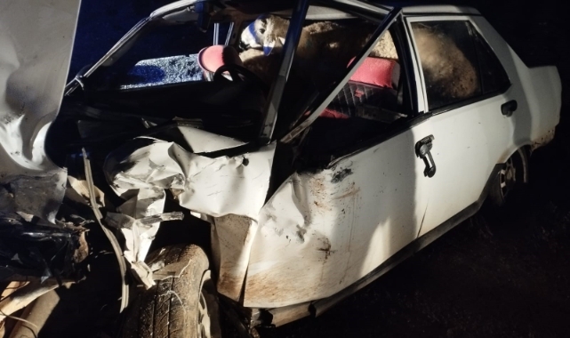 Otomobilin hurdaya döndüğü kazada 3 kişi yaralandı