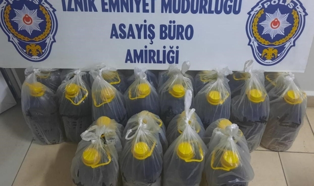 Zeytinyağı hırsızları yakalandı