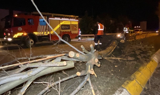 Ağaca çarpan otomobilin motoru yerinden fırladı