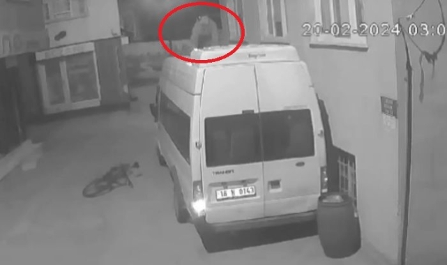 Bursa'da böyle hırsızlık görülmedi! Düşe kalka montu çaldı