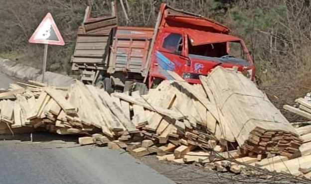 Bursa'da kamyonun freni patladı