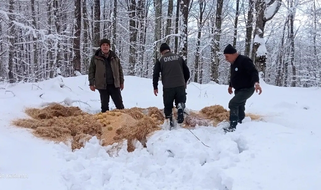 Bursa'da yaban hayvanları için doğaya yem bırakıldı
