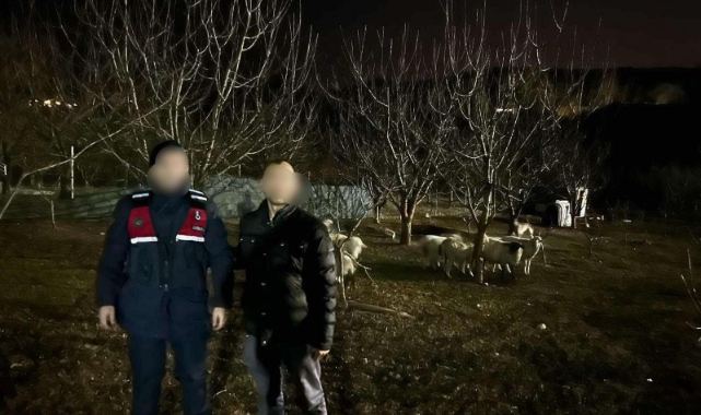 Kaybolan 10 küçükbaş hayvanı jandarma buldu