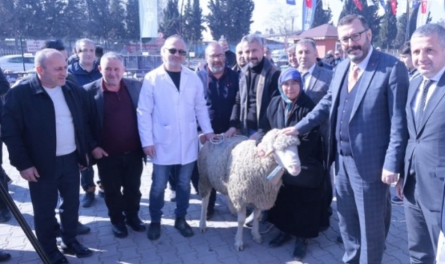 Kocaeli'nde üreticiye koç ve teke desteği