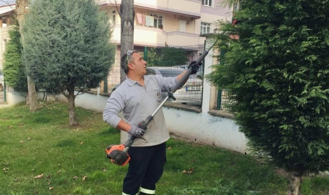 Körfez'de yeşil alanlara kış bakımı