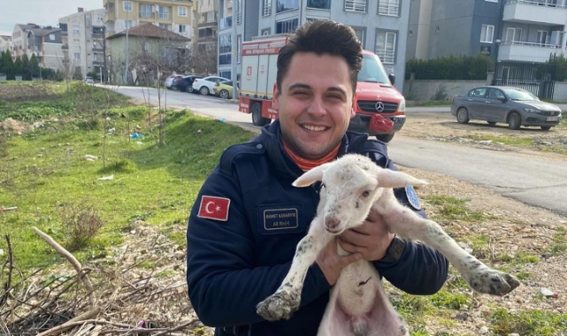 Kuyuya düşen kuzuyu Bursa itfaiyesi kurtardı