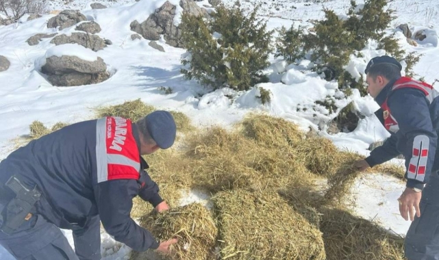 Yaban hayvanları için doğaya yem bırakıldı