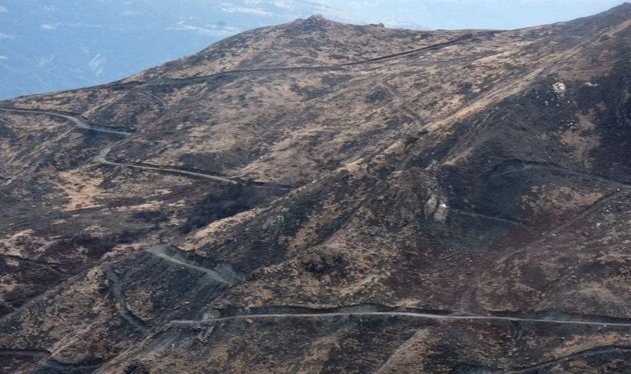 2020'de küle dönmüştü: Yeniden ağaçlandırılıyor