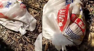 Ağızları bağlı çuvallarda yavru köpekler sokağa bırakıldı