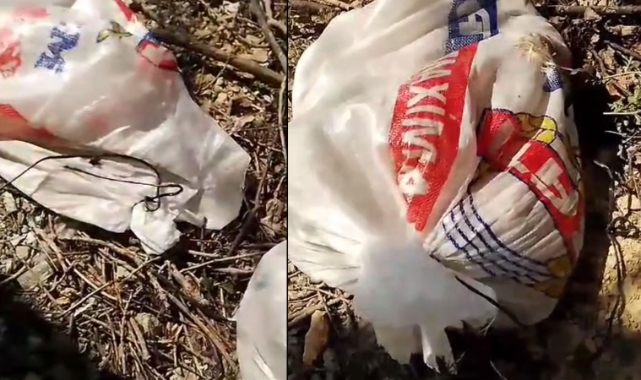 Ağızları bağlı çuvallarda yavru köpekler sokağa bırakıldı