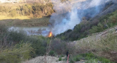 Asi Nehri sazlığında yangın