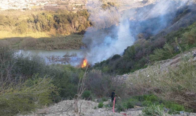 Asi Nehri sazlığında yangın