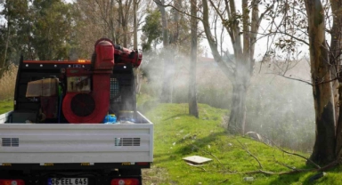 Balıkesir'de haşereyle mücadele devam ediyor