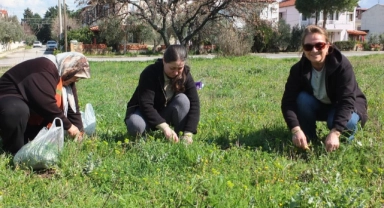Balıkesir'de ot festivali düzenlenmesini istediler