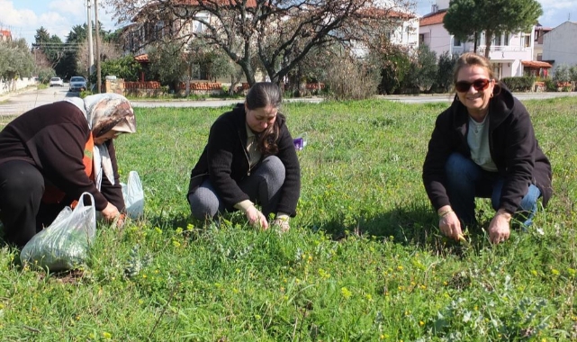 Balıkesir'de ot festivali düzenlenmesini istediler