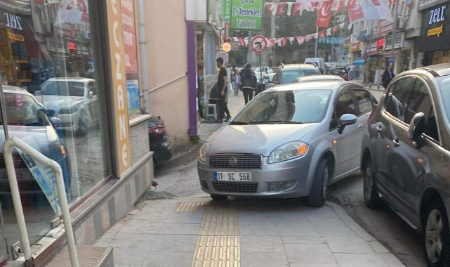 Bilecik'te 'bu kadarına pes' dedirten park