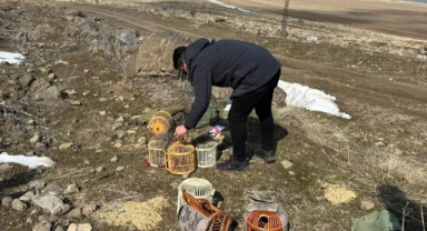 Bitlis'te kaçak keklik avlayan şahıslara para cezası