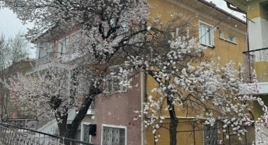 Bolvadin’de kar yağışı etkili oldu