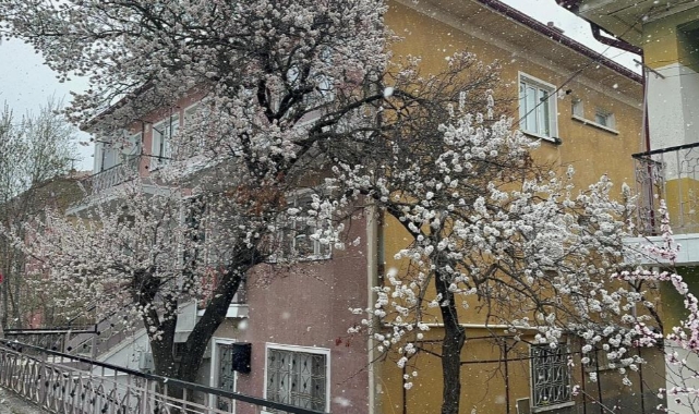 Bolvadin’de kar yağışı etkili oldu