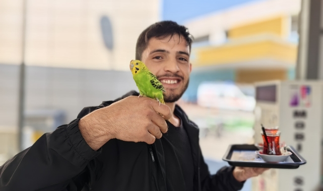 Bursa'da İbiş'i görenler şaşırıp kalıyor!