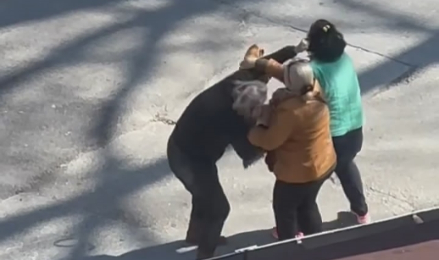 Bursa'da kadınlar yol ortasında birbirine girdi!
