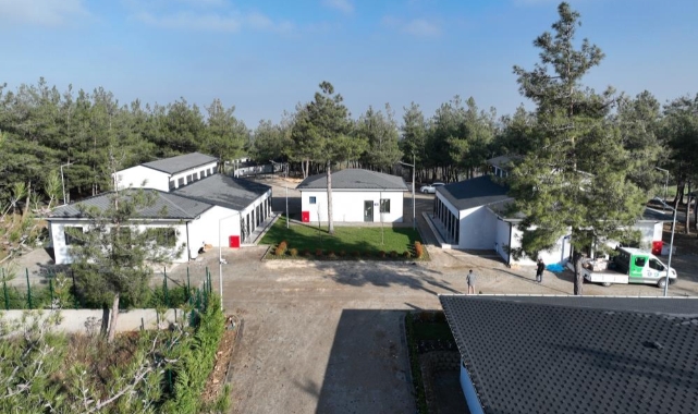 Can dostlara modern yeni yuva