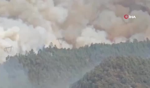 Çin’de orman yangını