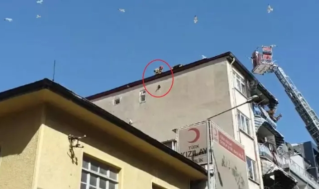 Karganın imdadına Gemlik İtfaiyesi yetişti