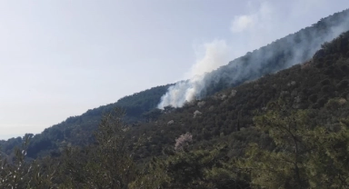 Kazdağları eteklerinde yangın paniği