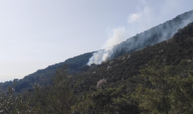 Kazdağları eteklerinde yangın paniği