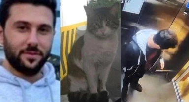 Kedi Eros davasında yeni gelişme: Karara itiraz edildi!