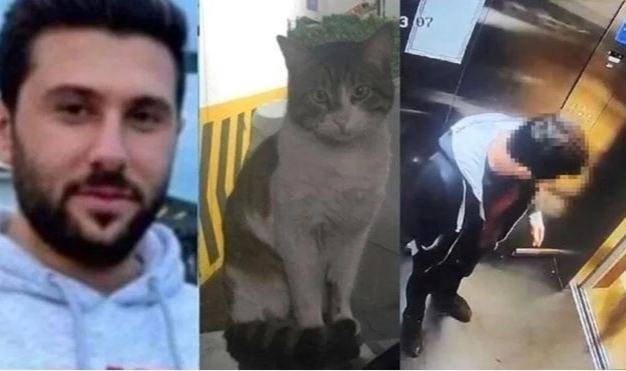 Kedi Eros davasında yeni gelişme: Karara itiraz edildi!