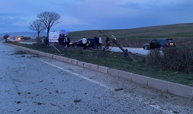 Önce köpeğe ardından refüjde bulunan ağaçlara çarptı