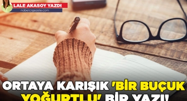 Ortaya karışık 'Bir buçuk yoğurtlu' bir yazı!