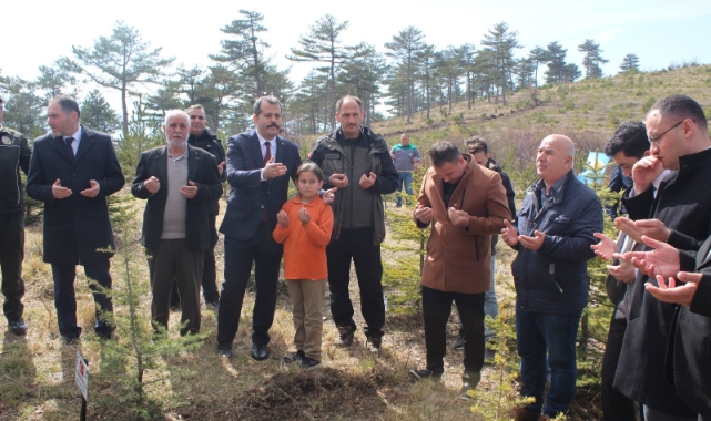 Şehitler için fidan dikildi