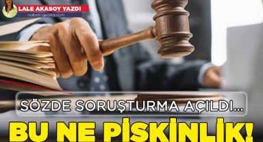 Sözde soruşturma açıldı… Bu ne pişkinlik!